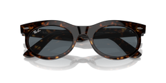 Ray-Ban Wayfarer Oval | 2242 Havana
