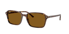 Ray-Ban Raimond | 2231