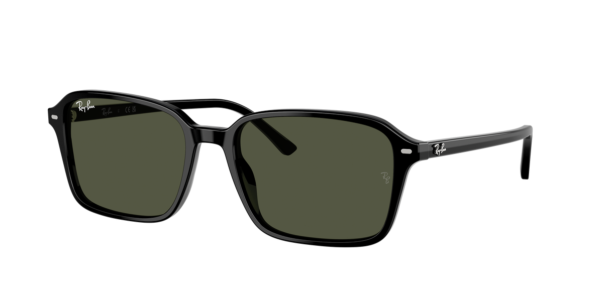 Ray-Ban Raimond | 2231