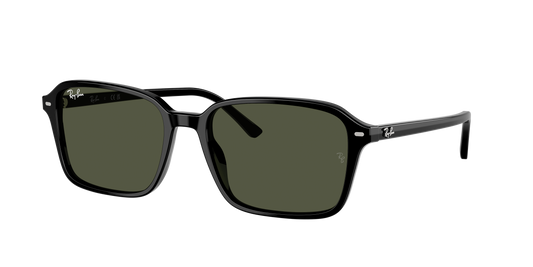 Ray-Ban Raimond | 2231