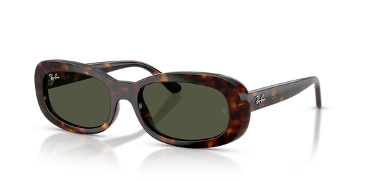 Ray-Ban | 2221 Havana
