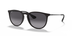 Ray-Ban Erika | 4171 622/8G