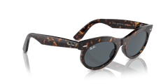 Ray-Ban Wayfarer Oval | 2242 Havana