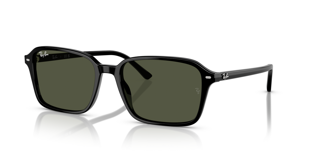 Ray-Ban Raimond | 2231 Nero