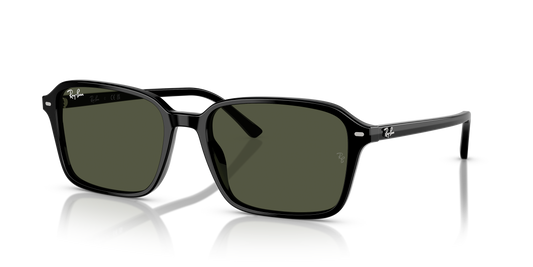 Ray-Ban Raimond | 2231 Nero