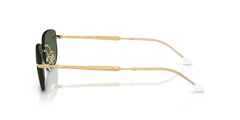 Ray-Ban | 3768 Oro arista/Verde scuro