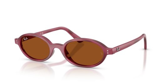 Ray-Ban Khal Bio-Based | 4472 Havana Violetto