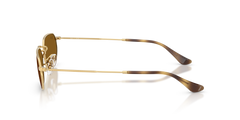Ray-Ban | 3947 Oro arista/Marrone