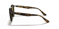 Ray-Ban | 2180 Havana Chiaro