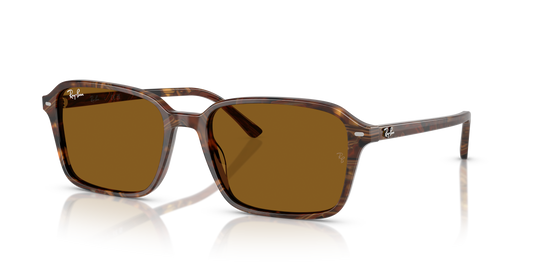 Ray-Ban Raimond | 2231 Marrone fantasia trasparente