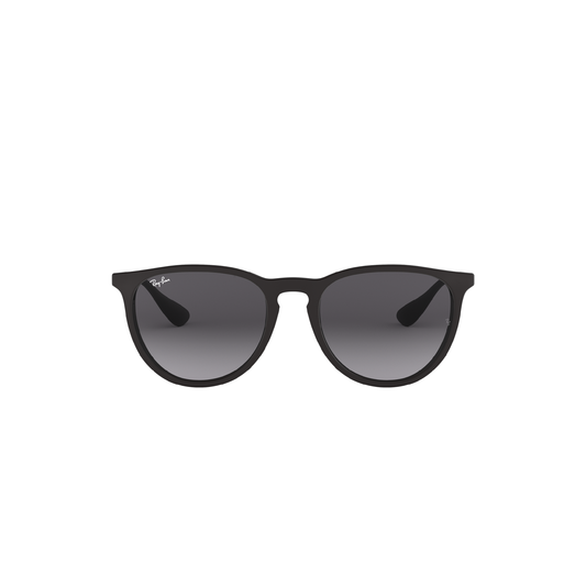 Ray-Ban Erika | 4171