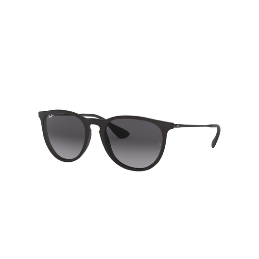 Ray-Ban Erika | 4171