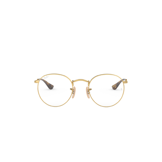 Ray-Ban Round Metal | 3447V
