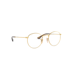 Ray-Ban Round Metal | 3447V